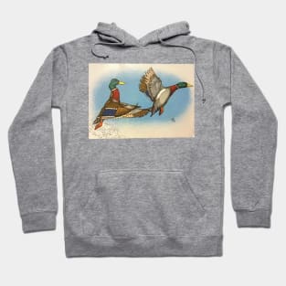 Ducks in flight Hoodie